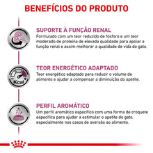 Royal Canin VET Renal Special – Ração seca para gato adulto com doença renal