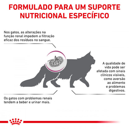 Royal Canin VET Renal Special – Ração seca para gato adulto com doença renal