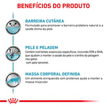 Royal Canin VET Skin & Coat - Ração seca para gato com dermatite e queda de pelo