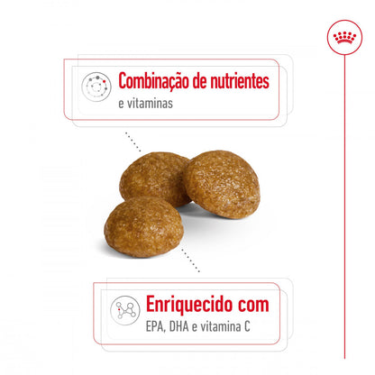 Royal Canin X-Small Adult 8+ - Ração seca para cão muito pequeno com mais de 8 anos