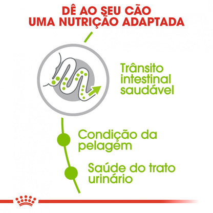Royal Canin X-Small Adult - Ração seca para cão muito pequeno