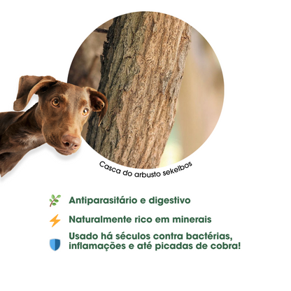 Sticks Naturais de Madeira Sekelbos (África do Sul) para Cães Kaudas - Mordedor Duradouro e Antibacteriano