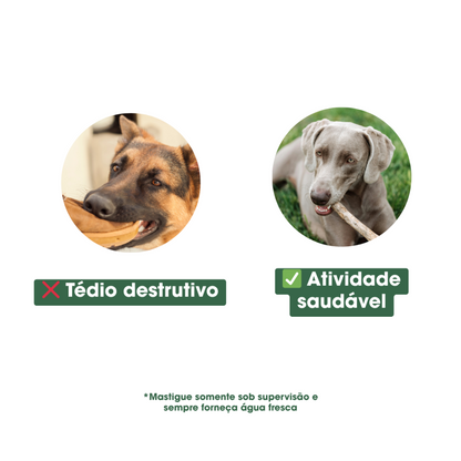 Sticks Naturais de Madeira Sekelbos (África do Sul) para Cães Kaudas - Mordedor Duradouro e Antibacteriano