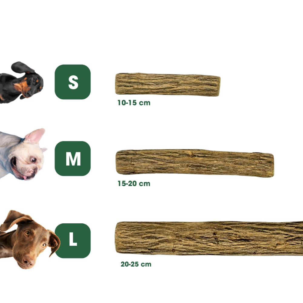 Sticks Naturais de Madeira Sekelbos (África do Sul) para Cães Kaudas - Mordedor Duradouro e Antibacteriano