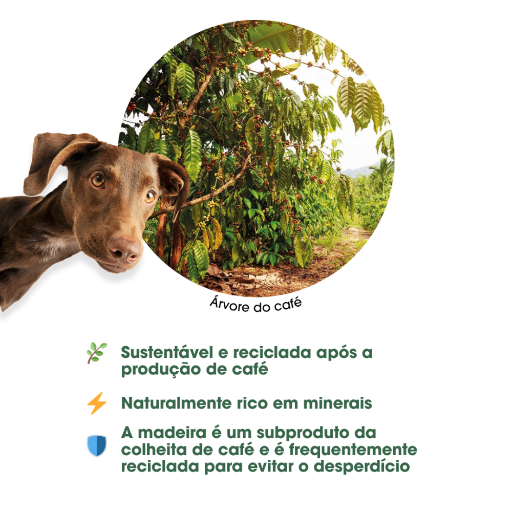 Sticks Naturais de Madeira de Café para Cães Kaudas – Mordedor Duradouro para Higiene Dentária