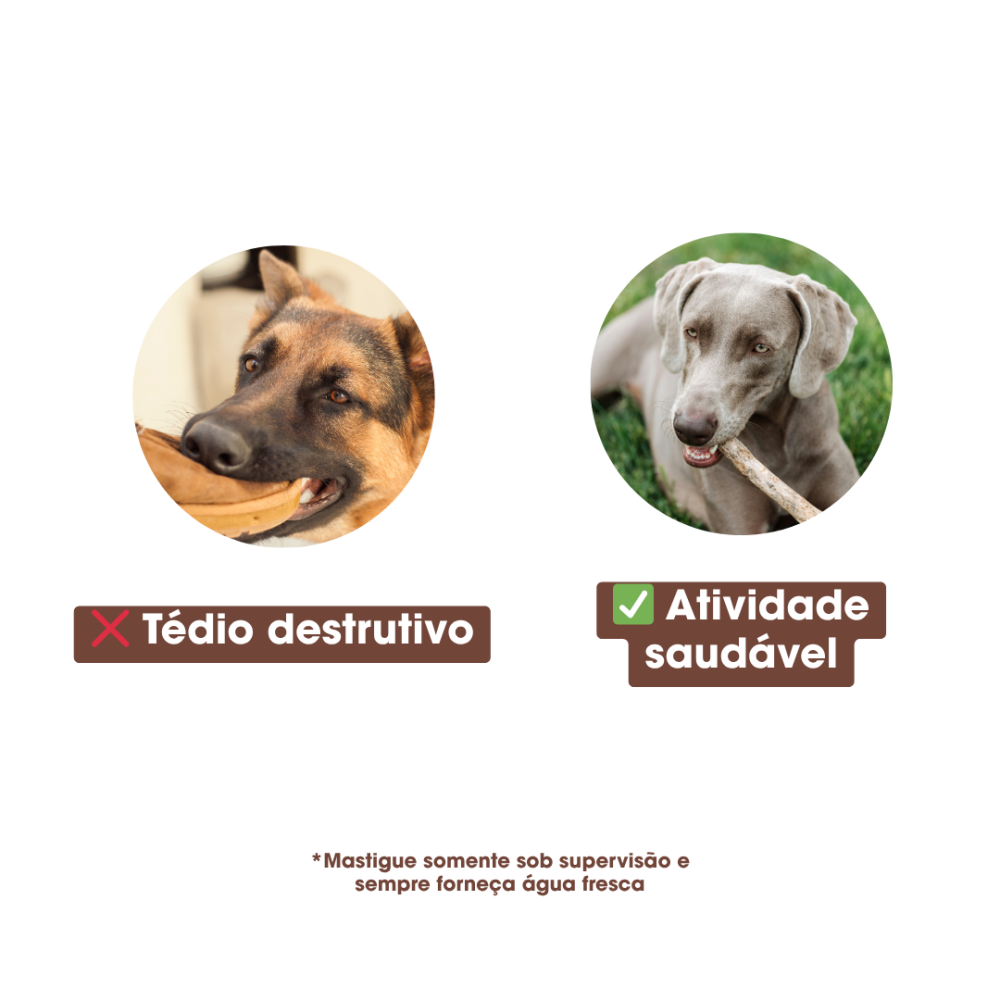 Sticks Naturais de Madeira de Café para Cães Kaudas – Mordedor Duradouro para Higiene Dentária